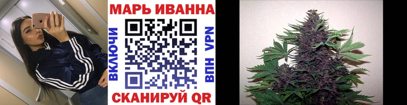 Конопля индика  Старая Русса 